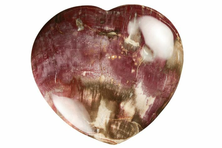 Polished Triassic Petrified Wood Heart - Madagascar #194883